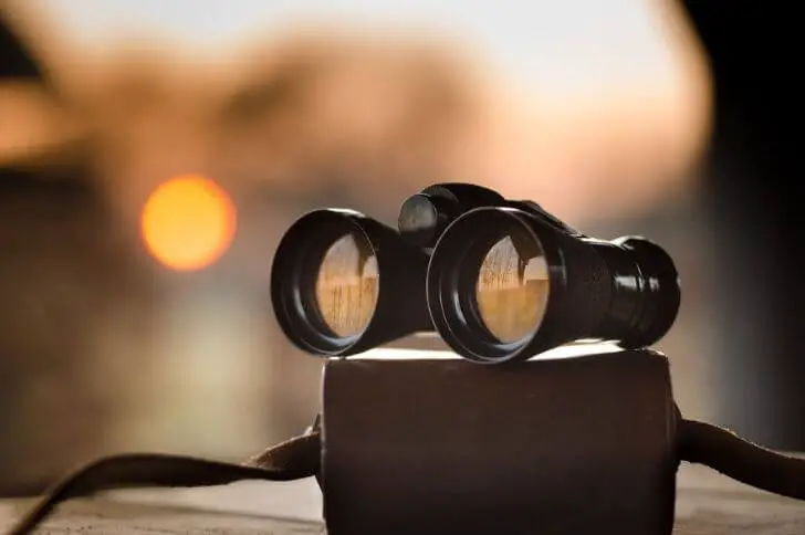 best night vision binoculars for bird watching